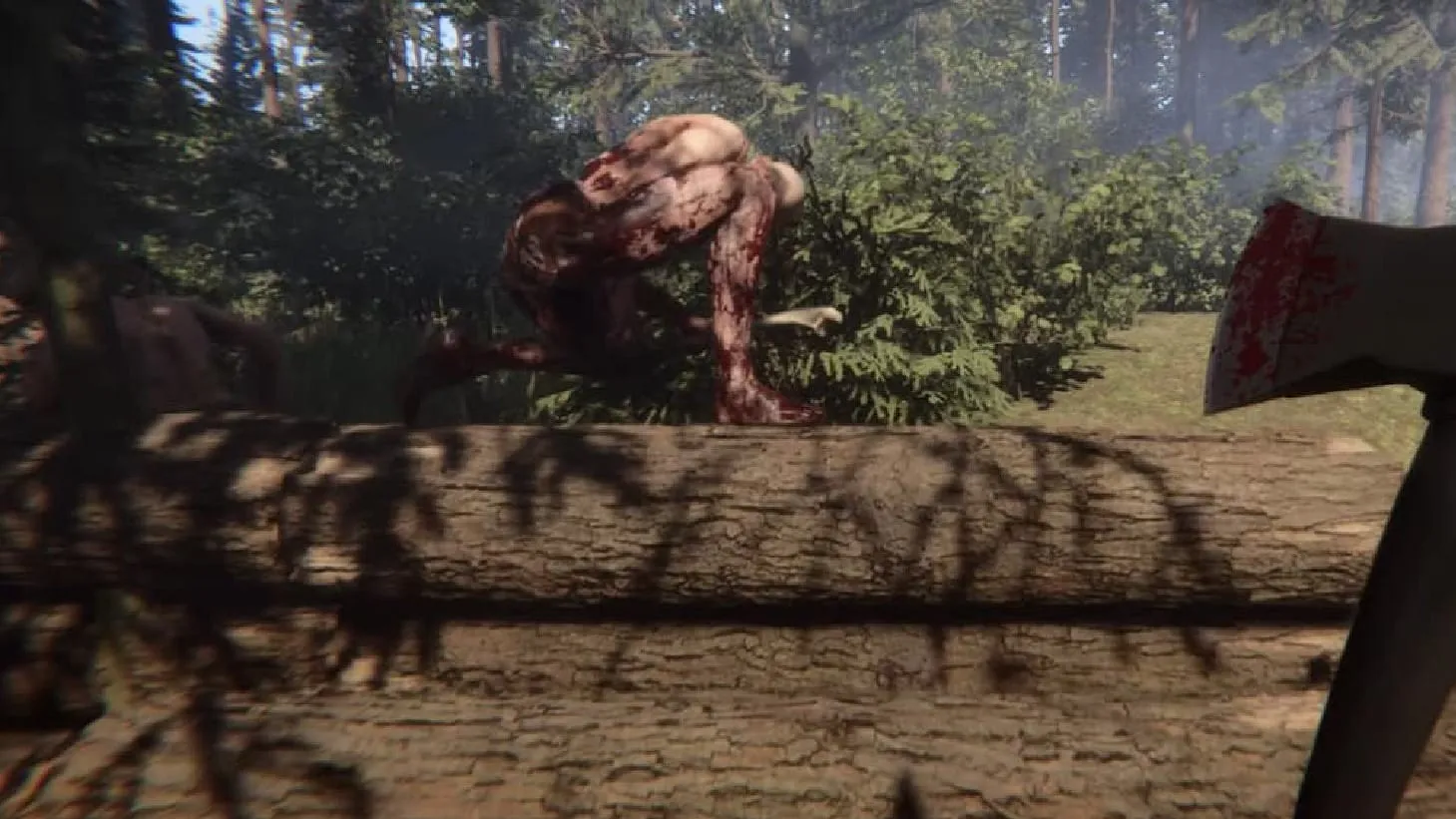 Spielszene aus The Forest VR, Bild 2